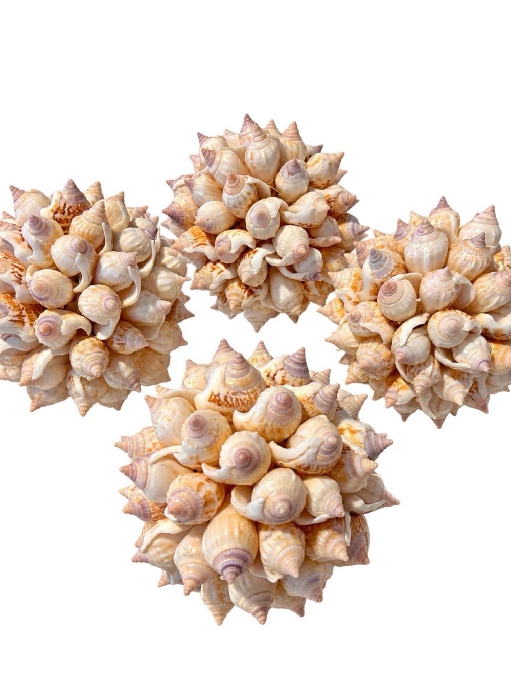 Decorative Seashell Cluster Balls Spheres White Sea Shells Collectible Coastal